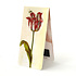 Typisch Hollands Magnetic Bookmark - Jakob Marrel, Red Tulip