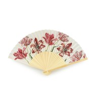 Typisch Hollands Hand Fan - Tulips Merian