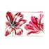 Museumgifts Holland Etui - Schminktasche Merian - Drei Tulpen