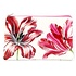 Museumgifts Holland Kosmetiktasche Merian - Drei Tulpen
