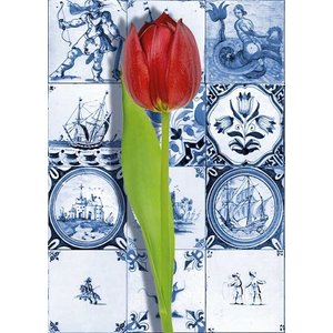 Heinen Delftware Einzelkarte - Delfter Blau - Classic mit roter Tulpe
