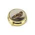 Typisch Hollands Pill box - Gold colored - the Goldfinch