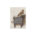 Typisch Hollands Tea towel - Fabritius - The goldfinch