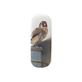 Typisch Hollands Glasses case - The Goldfinch - Carel Fabritius