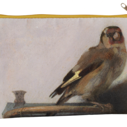 Fabritius - The goldfinch