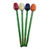 Typisch Hollands Bleistift Tulpen - 4er Set