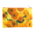 Typisch Hollands Etui - make-up tasje  -Zonnebloemen - Vincent van Gogh