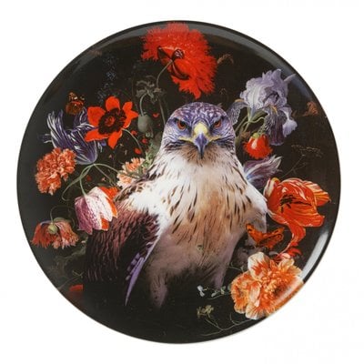 Heinen Delftware Wall plate Peregrine Falcon Ø26cm