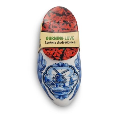 Typisch Hollands Clog - Weiß mit Samen "Burning Love"