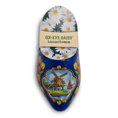 Typisch Hollands Klompje - Blauw met zaadjes "Ox-Eye-Daisy"