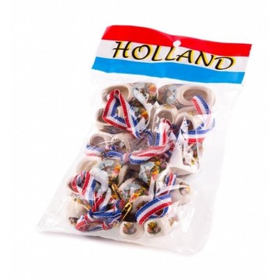 Typisch Hollands Corsageklompjes Color - Tulpen