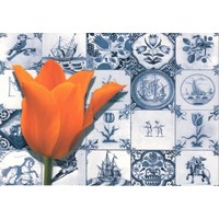 Typisch Hollands Doppelte Grußkarte - Holland - Tulip and Tiles