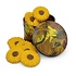 Typisch Hollands Tin Sunflowers - with Chocolate Flowers