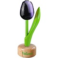 Typisch Hollands Kleine tulp op voet - 8cm - Aubergine-Wit