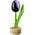 Typisch Hollands Small tulip on foot - 8cm - Aubergine-White