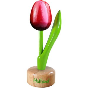 Typisch Hollands Kleine tulp op voet - 8cm -Rood-Wit