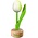 Typisch Hollands Kleine tulp op voet - 8cm - Wit