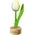 Typisch Hollands Kleine tulp op voet - 8cm - Wit