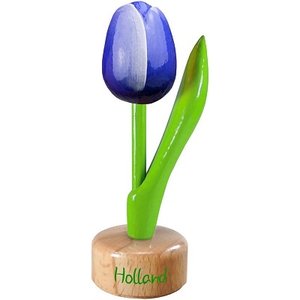 Nijhuis  Kleine Tulpe zu Fuß - 8cm - Blau