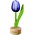 Typisch Hollands Kleine tulp op voet - 8cm - Blauw