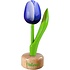 Typisch Hollands Kleine tulp op voet - 8cm - Blauw