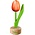 Typisch Hollands Kleine tulp op voet - 8cm - Oranje-Wit
