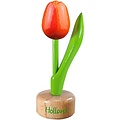 Typisch Hollands Kleine tulp op voet - 8cm - Oranje-Rood