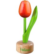 Typisch Hollands Kleine tulp op voet - 8cm - Oranje-Rood