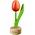 Nijhuis  Kleine Tulpe zu Fuß - 8cm - Orange-Rot