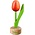 Typisch Hollands Kleine tulp op voet - 8cm - Oranje-Rood