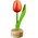 Typisch Hollands Small tulip on foot - 8cm - Orange-Red