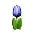 Typisch Hollands Houten tulp op voet 14 cm - blauw