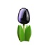 Typisch Hollands Houten tulp op voet 14 cm - aubergine