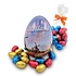 Typisch Hollands Easter egg (tin) filled with chocolate eggs -150 grams