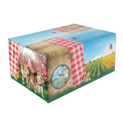 www.typisch-hollands-geschenkpakket.nl  Holland cadeau-pakket (Boeren-ruitjes doos)