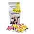 Typisch Hollands Milk packaging Dutch cow liquorice (fruit)