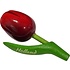 Matix Magneet Tulp - Holland - Rood