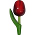 Matix Magneet Tulp - Holland - Rood