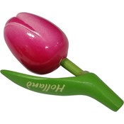 Typisch Hollands Magnet Tulip - Holland - Pink