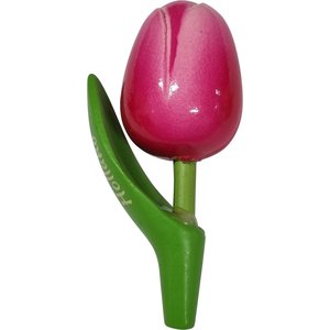 Typisch Hollands Magnet-Tulpe - Holland - Rosa