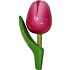 Matix  Magneet Tulp - Holland - Roze