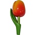 Typisch Hollands Magnet Tulip - Holland - Orange-Yellow