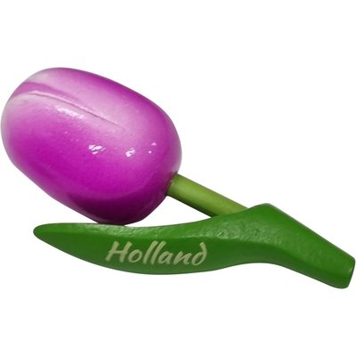 Typisch Hollands Magneet Tulp - Violet-Wit