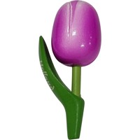 Typisch Hollands Magneet Tulp - Violet-Wit