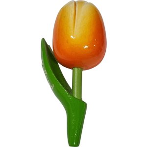 Matix Magnet Tulip - Holland - Orange - Light