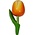 Typisch Hollands Magnet Tulip - Holland - Orange - Light
