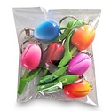 Typisch Hollands Voordeelverpakking -  Tulpen magneten (6stuks)