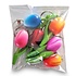 Typisch Hollands Vorteilspack - Schlüsselanhänger Tulpen (6 Stück)