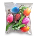 Typisch Hollands Voordeelverpakking - Sleutelhangers Tulpen (6stuks)