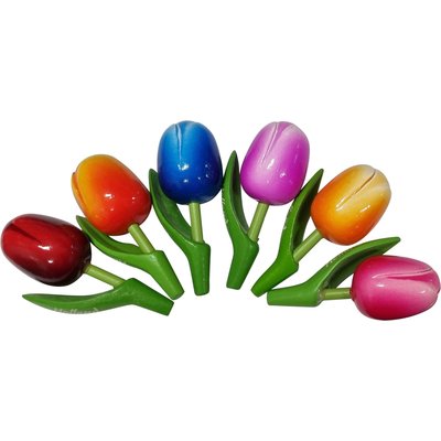 Typisch Hollands Discount package - Tulip magnets (6 pieces)